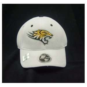 Towson Tigers White Elite One Fit Hat 