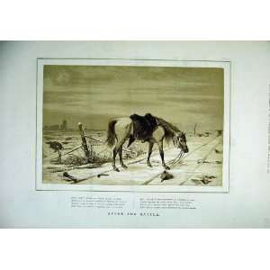   1879 Sepia Antique Print Riderless Horse War Country