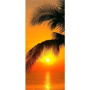  Wallpaper Brewster Komar photomurals Vol 8 Palmy Beach Sunrise 