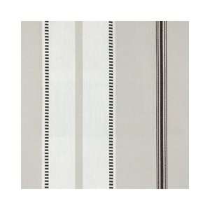  Stripe Platinum 73010 562 by Duralee Fabrics