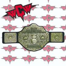 WCW WORLD Heavyweight Championship ADULT Replica BELT  