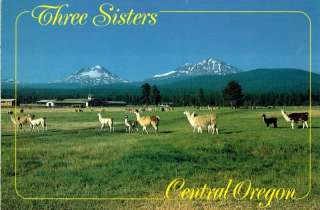Central Oregon – Three Sisters – Vintage Postcard  