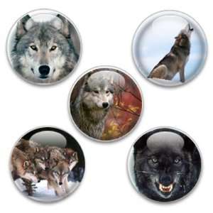    Decorative Magnets or Push Pins 5 Big Wolves