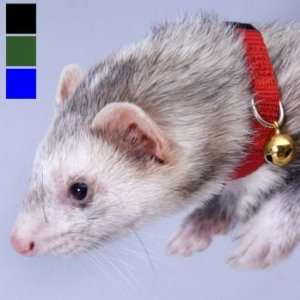  Nylon Ferret Bell Collar   Blue   Small Animal Collar 