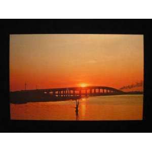  New Winyah Bay Bridges, Georgetown, SC 50s Postcard not 