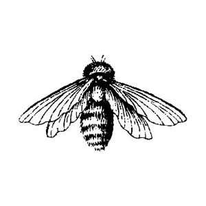    Magenta Cling Stamps Bee; 3 Items/Order Arts, Crafts & Sewing