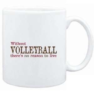   Volleyball theres no reason to live  Hobbies