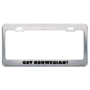 Got Norwegian? Language Nationality Country Metal License Plate Frame 