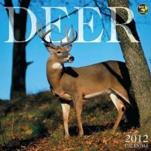 Deer 2012 Wall Calendar
