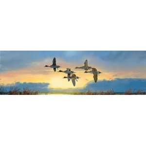   Wings Series Dawn Patrol Ducks Window Graphics