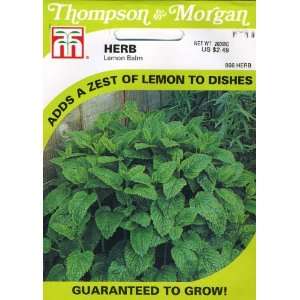  Thompson & Morgan 866 Herb Lemon Balm (Melissa officinalis 