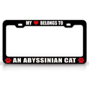 MY HEART BELONGS TO AN ABYSSINIAN Cat Pet Auto License Plate Frame Tag 