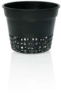 Net Cups 3.75 or 6 Lot of 12 black mesh pot for hydroponics hydro 
