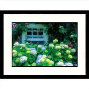 com Summer Flowers by Window Framed Photograph Size 23 x 30, Frame 