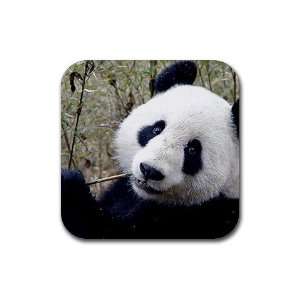  Panda Rubber Square Coaster set (4 pack) Great Gift Idea 