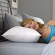 Pillows   Shop Body Pillows, Neck Pillows & Down Pillows   