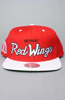 Mitchell & Ness The Detroit Redwings Script 2Tone Snapback Cap in 