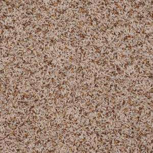 Shaw Touchdown   Color Caramel 12 ft. Carpet 975HD75102 at The Home 