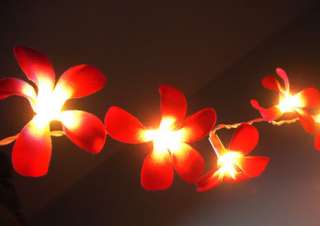 Rot Blumen Lichterkette Party,Garten,Hochzeit Deko 20er  