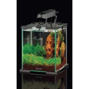 Mini Aquarium NanoLife Cube 10L Titanium  Haustier