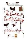 the cure for death by lightning gail anderson darga tz