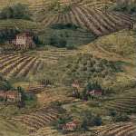 Italy Italian Tuscan Countryside Grapes Vineyards PrePasted Wallpaper 
