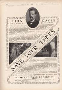 1909 JOHN DAVEY TREE SURGERY FOREST WOOD PLANT BARK AD  