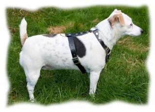 Small Dog Leather Harness   Jack Russell, Westie etc  