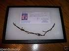 Relic Barbed Wire from Normandy France w/ Certificate