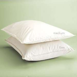  Gaiam Organic Kapok Pillow   Medium