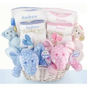    Personalized Double The Blessings Twins Baby Gift Basket Baby
