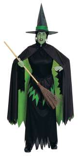 WICKED WITCH OF THE WEST Wizard of Oz Halloween Costume  