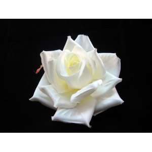   NEW White Rose Hair Flower Clip and Pin Back Brooch, Limited. Beauty