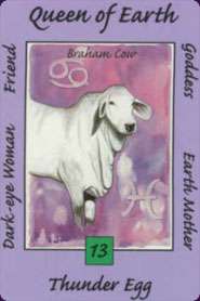 OOP AGM AUSTRALIAN ANIMAL TAROT DECK WILLIAMSFITZGERALD  