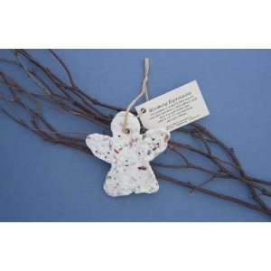  Blossoming Ornament Angel plant in 1/4 inch to 1/2 inch 