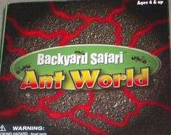 Backyard Ant Farm Light up Tunnel Live Ants  