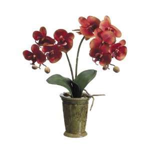   Artificial Brick Red Mustard Phalaenopsis Orchid Silk Flower Plants