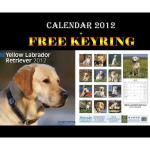  Yellow Labrador Retriever Dogs Calendar 2012 + Free 