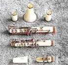 Bb Color clarinet White Clarinet +Case