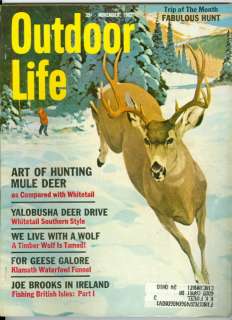 of hunting mule deer another awesome deal from dcb collectibles