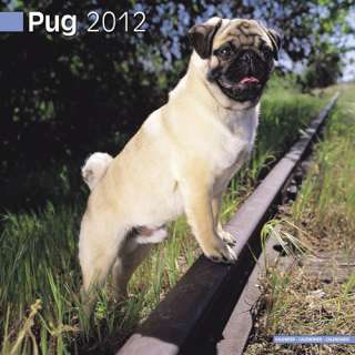 Pugs 2012 Calendar   NEW  
