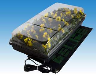   Germination Station Kit   2 Dome Heat Mat Cell Plug Tray 10 x 20 Seed