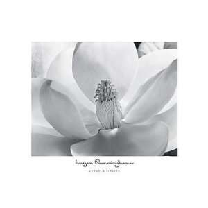  Magnolia Blossom    Print