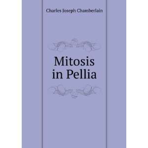  Mitosis in Pellia Charles Joseph Chamberlain Books