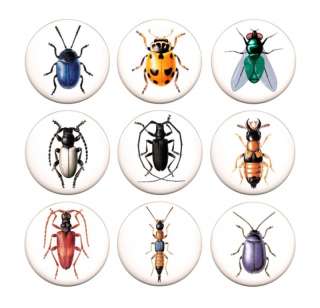BUGS BUTTONS SET#1   9 PINS   insects/entomology/nature  