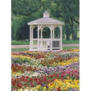 Patchwork of Pansies and Gazebo, Columbus, Ohio, USA Photographic 