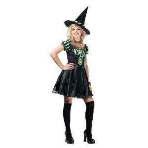   Magic Group Lime Stripe Witch Pre Teen Costume / Green   Size 14 16