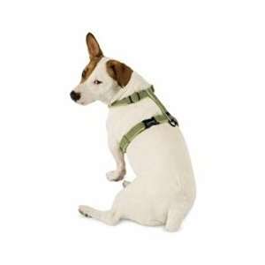  Planet Dog Natural Hemp/Fleece Lined Harness   Apple Green 