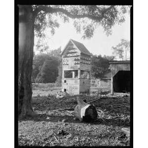  Photo Hickory Hill, Ashland, Hanover County, Virginia 1935 