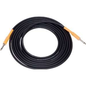  Lava Instrument Cable Straight to Straight 10 Ft 